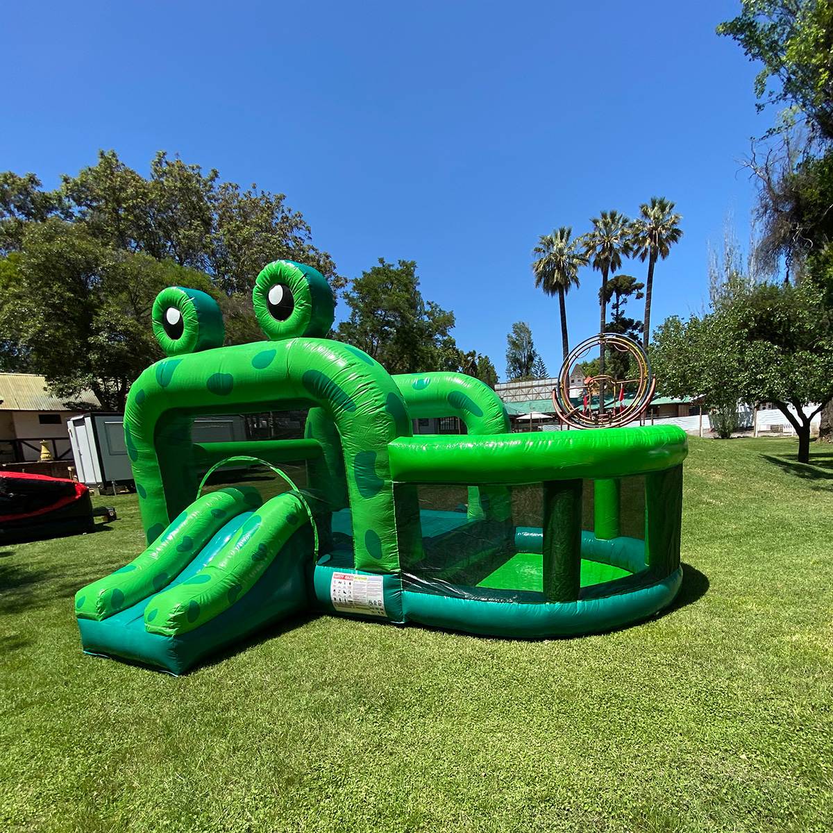 Arriendo juego inflable Mr Froggy rana pequeño 3 Arriendo juego inflable Mr Froggy rana pequeño 3