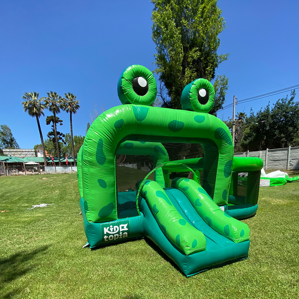 Arriendo juego inflable Mr Froggy rana pequeño 4 Arriendo juego inflable Mr Froggy rana pequeño 4