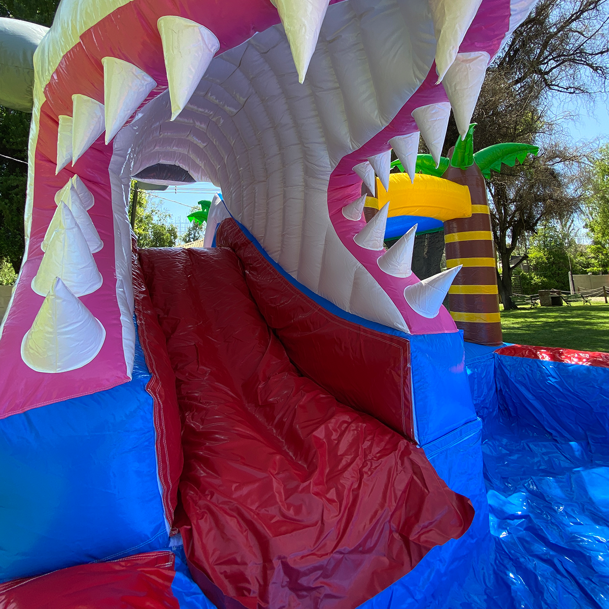 Arriendo juego inflable tobogan Isla Tiburon Arriendo juego inflable tobogan Isla Tiburon